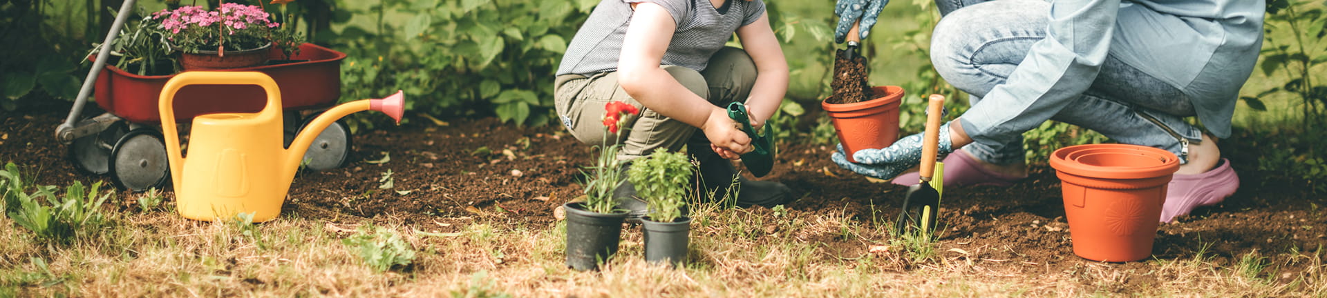 Novo material Co. de Anhui Hengbo, Ltd.